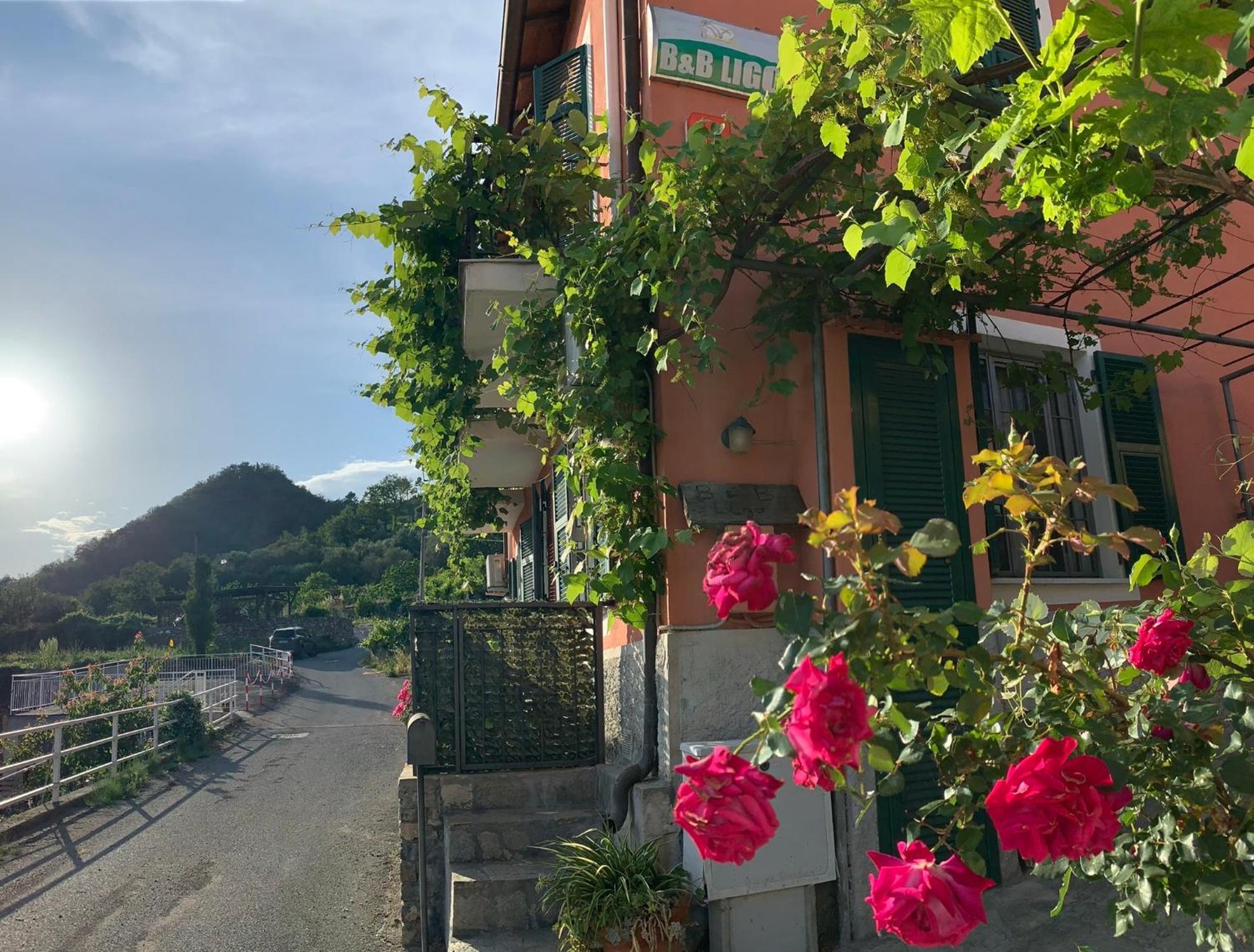 빌라노바 달벤가 Ligo B&B 외부 사진